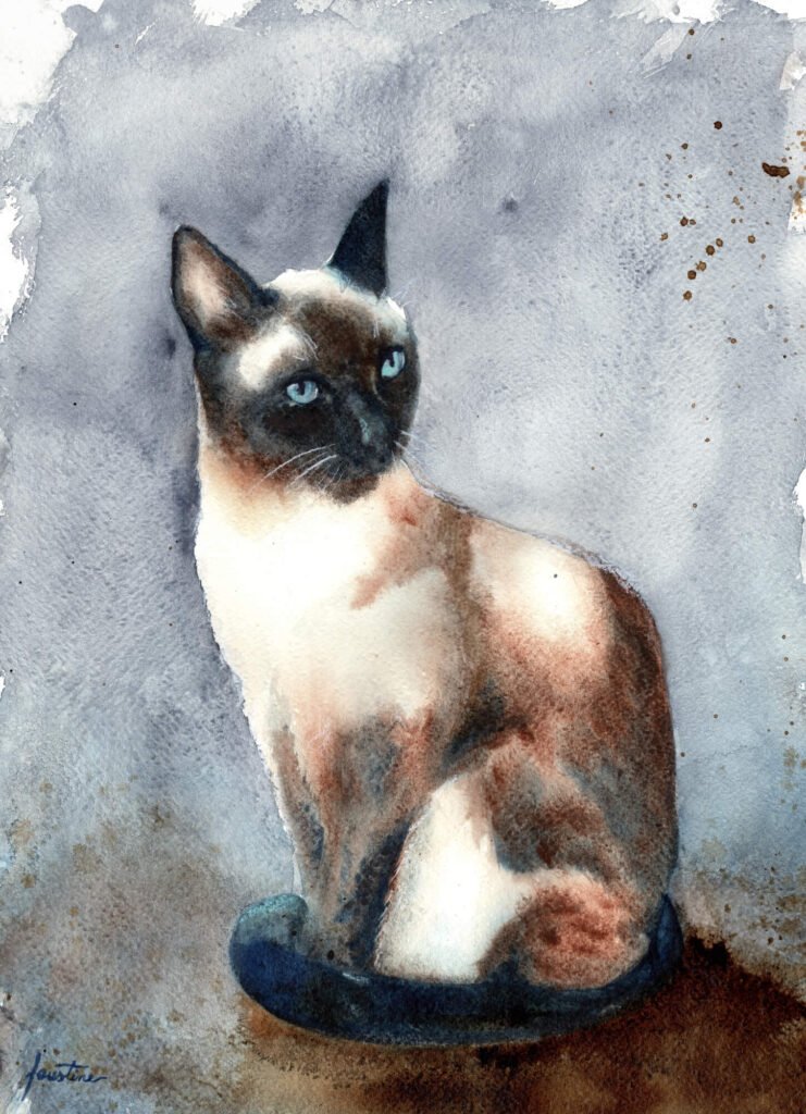 La Pose du Chat - Aquarelle - 30 x 40 cm - 180 €