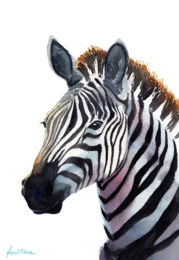 Le Zèbre - Aquarelle - 18 x 26 cm - 80 €