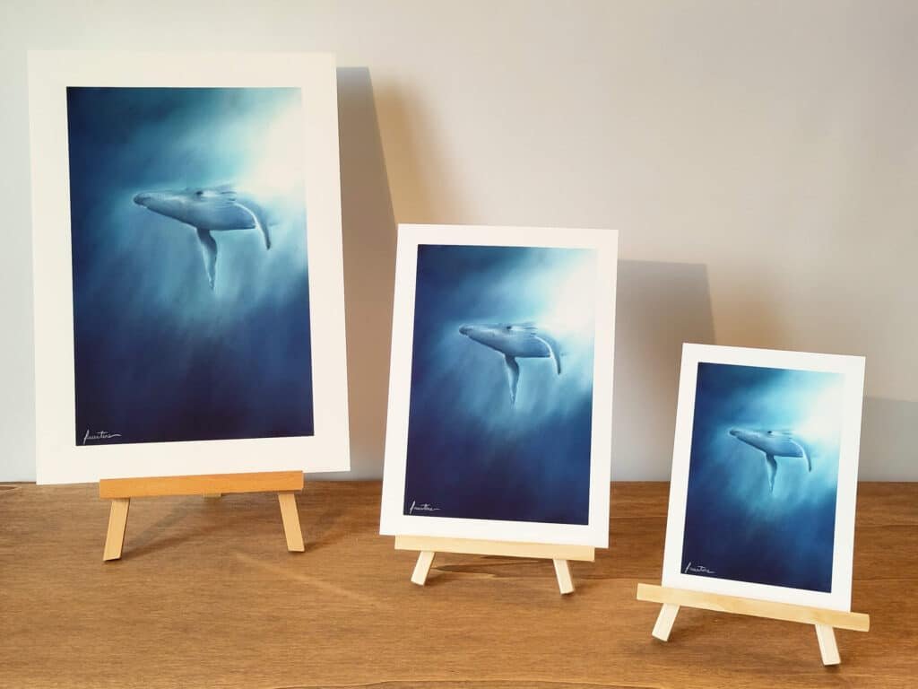 pastel baleine impression