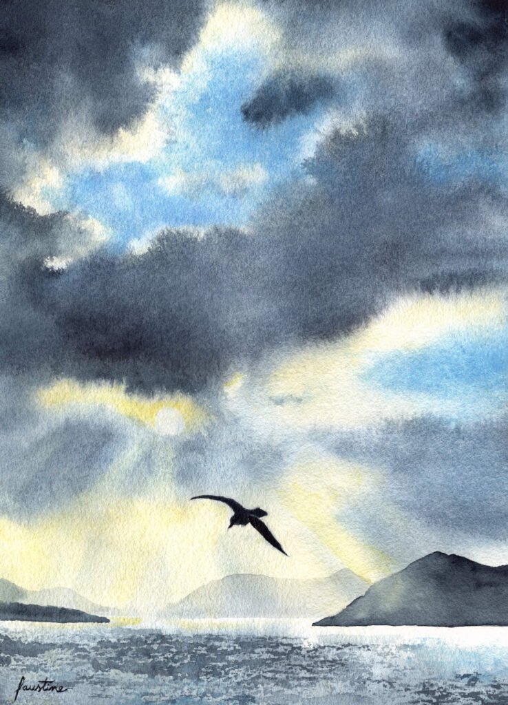 aquarelle ciel orage oiseau survolant la mer