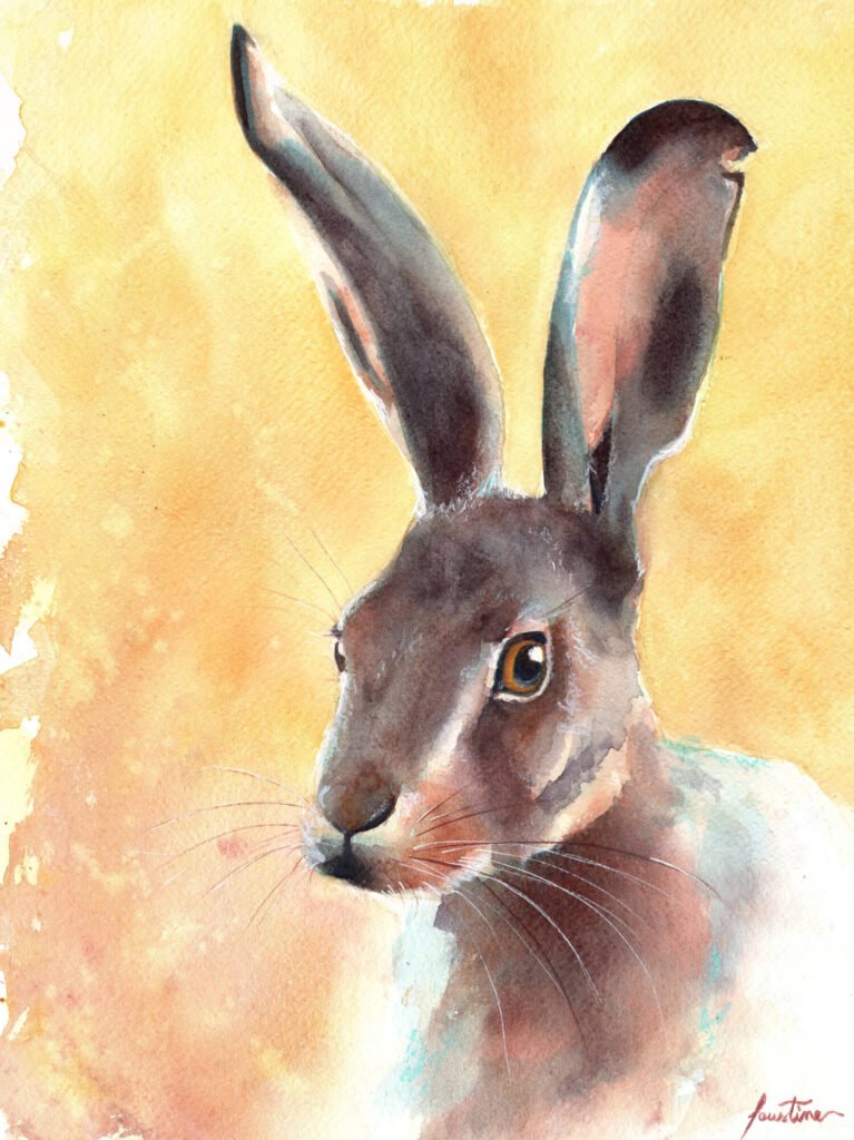 Le Lièvre - Aquarelle - 30 x 40 cm - 180 €