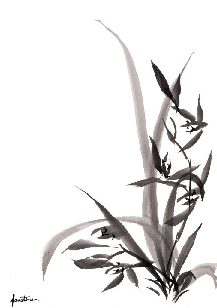 orchidée encre de chine